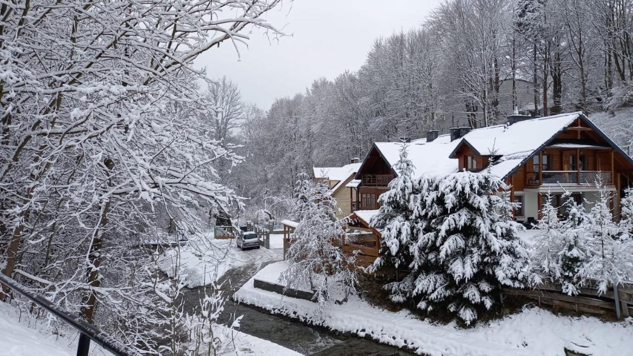 Domek Nad Kryniczanka กรินีซา ดรอยจ์ ภายนอก รูปภาพ